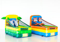 Kinderspelen basketbal en ringgooien dieren thema